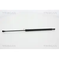TRISCAN Gasfeder, Koffer-/Laderaum 8710 25255