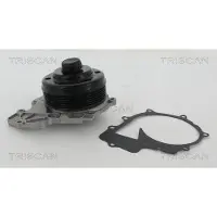 TRISCAN Wasserpumpe 8600 23063