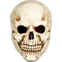 Toychamp Totenkopf Maske des Grauens