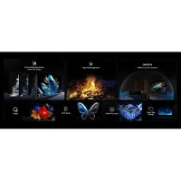 TCL C69KS 55C69KS, 139,7 cm (55"), 3840 x 2160 Pixel, QD-Mini LED, Smart-TV, WLAN, Metallisch