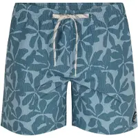 Protest Badeshorts Prtbaza Herren Raku Blue-S