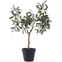House Nordic Olive