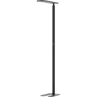 Hansa - Styro LED Stehleuchte Hansa Larimar, verstell- & drehbar, Energieeffizienzklasse E, 81 Lumen, 4000 K, H 1997 mm, schwarz