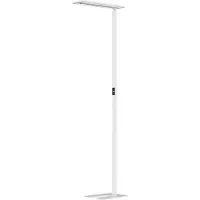 Hansa - Styro LED Stehleuchte Hansa Larimar, verstell- & drehbar, Energieeffizienzklasse E, 81 Lumen, 4000 K, H 1997 mm, weiß