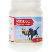 Berco - Arzneimittel, Gottfried Herzberg GmbH KollaDog Kollagen-Hydrolysat Pulver für Knorpel, Sehnen und Bänder aller Hunderasen, 500 g Pulver