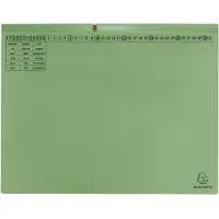Exacompta Hängehefter , für 2 x Rechtsheftung, gefalzt, Dehnfalte, Organisationsdruck, Recycling-Karton, grün, 25 Stück