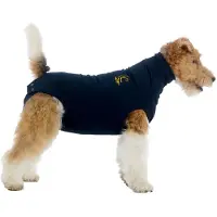 Medical Pet Shirt Hund - Blau - XXS