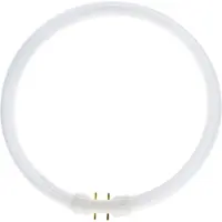 Gloeilampgoedkoop.nl - Leuchtmittel 22W / 830 FC Kreisförmig Röhre T5 2GX13