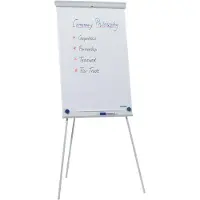 Franken Flipchart X-tra!Line Standard, höhenverstellbar, Schnellwechselhalterung, Ablageschale, magnethaftende Tafel mit B 680 x H 1050 mm, hellgrau