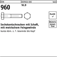 FAST-X Sechskantschraube DIN 960 m.Schaft M 14 x1,5 x 70 10.9