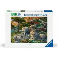 Ravensburger Wolfsrudel im Frühlingserwachen 12000719