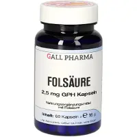 Hecht-Pharma Gmbh Folsäure 2,5 mg GPH Kapseln 60 St