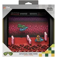 Pixel Frames - Battletoads: Turbo Tunnel - Bild