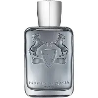 Parfums de Marly Castley Eau De Parfum 125 ml (man)