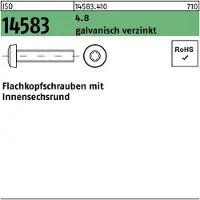 F. REYHER Nchfg. GmbH & Co. KG Flachkopfschraube ISO 14583 m.Innensechsrund M 5 x 8 4.8 galvanisch verzinkt