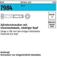 Industrial Quality Supplies Zylinderschraube DIN 7984 m.Innensechskant M 10 x 55 A 2