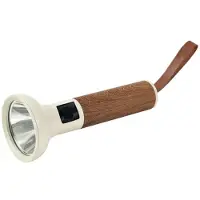 Müller-Licht LED Akku-Taschenlampe Ray