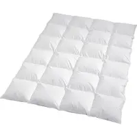 TRAUMSCHLAF Daunendecke Himalaya warm, Füllung: 100% Daunen 160x210 cm