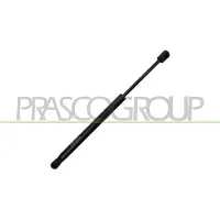 PRASCO Gasfeder, Koffer-/Laderaum SK2019055