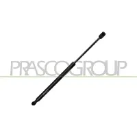 PRASCO Gasfeder, Koffer-/Laderaum RN7509055