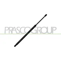 PRASCO Gasfeder, Koffer-/Laderaum VG1019055