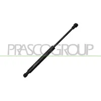 PRASCO Gasfeder, Koffer-/Laderaum AA0909055
