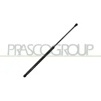 PRASCO Gasfeder, Koffer-/Laderaum CI7059055