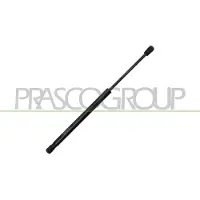 PRASCO Gasfeder, Koffer-/Laderaum HN2009055