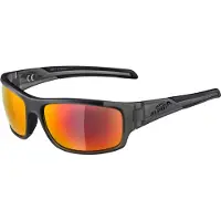 Alpina Brille TESTIDO