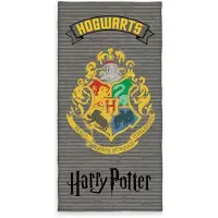 Harry Potter Velourstuch
