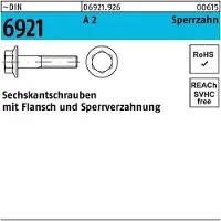 Hörger & Geßler Sechskantschraube DIN 6921 m.Flansch M 5 x 30 A 2 m.Sperrzahnung