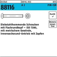 Industrial Quality Supplies Schraube R 88116 diebstahlhemmend ISR Zapfen M10 x 80-T45 A 2
