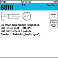 F. REYHER Nchfg. GmbH & Co. KG Schraube R 88111 diebstahlhemmend Liko/Zweiloch M 5 x 12 A 2