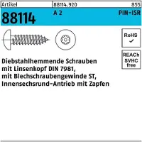 Industrial Quality Supplies Schraube R 88114 diebstahlh. Liko ISR Zapfen 5,5 x 32 A 2