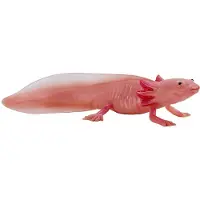 MOJO Axolotl, 3 Jahr(e), Wildlife, Pink, Polyvinylchlorid (PVC)