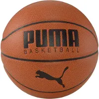 Puma Basketball Elite