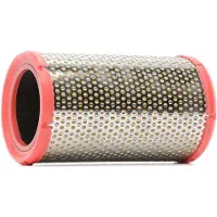 RIDEX PLUS 8A0090P Luftfilter für VW Golf IV Schrägheck (1J1)