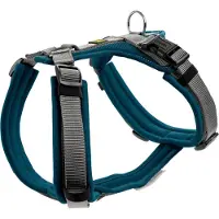 Hunter Maldon, Hund, Halftergeschirr, XS, Grau, Türkis, Nylon, Einfarbig