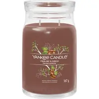 Yankee candle Signature Praline & Birch 567 g