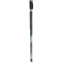 Zandstra Nordic skating poles