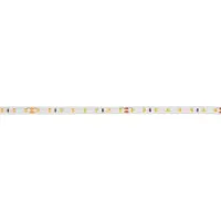 Brumberg 15572027