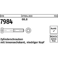 Lemvigh-Muller Zylinderschraube DIN 7984 m.Innensechskant M 6 x 30 8.8