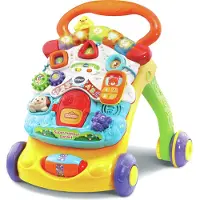 Vtech 80-505605, 0,75 Jahr(e), Batterien erforderlich, AA, Kunststoff, Mehrfarbig