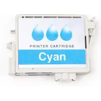 Ricoh Reinigungskartusche cyan Type 1 / Ri 100