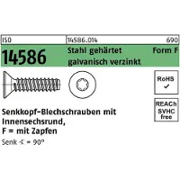 Hörger & Geßler Senkblechschraube ISO 14586 m.Innensechsrund/Zapfen 4,2 x 50 -F Stahl gehärtet galvanisch verzinkt
