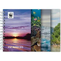 Bekking & Blitz WWF Wochenagenda 2027