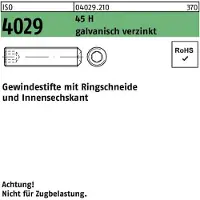 F. REYHER Nchfg. GmbH & Co. KG Gewindestift ISO 4029 Ringschneide/Innen-6-kant M 3 x 10 45 H galvanisch verzinkt