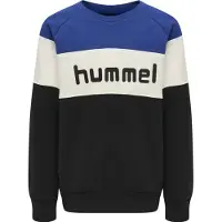 Hummel Sweatshirt Kind Claes