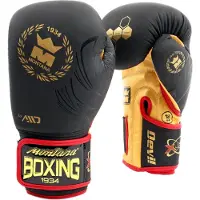 Montana Devil Phoenix Boxhandschuhe Aus Kunstleder