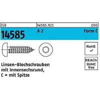 Industrial Quality Supplies Linsenblechschraube ISO 14585 m.Innensechsrund 6,3 x 19 -C A 2 T30
